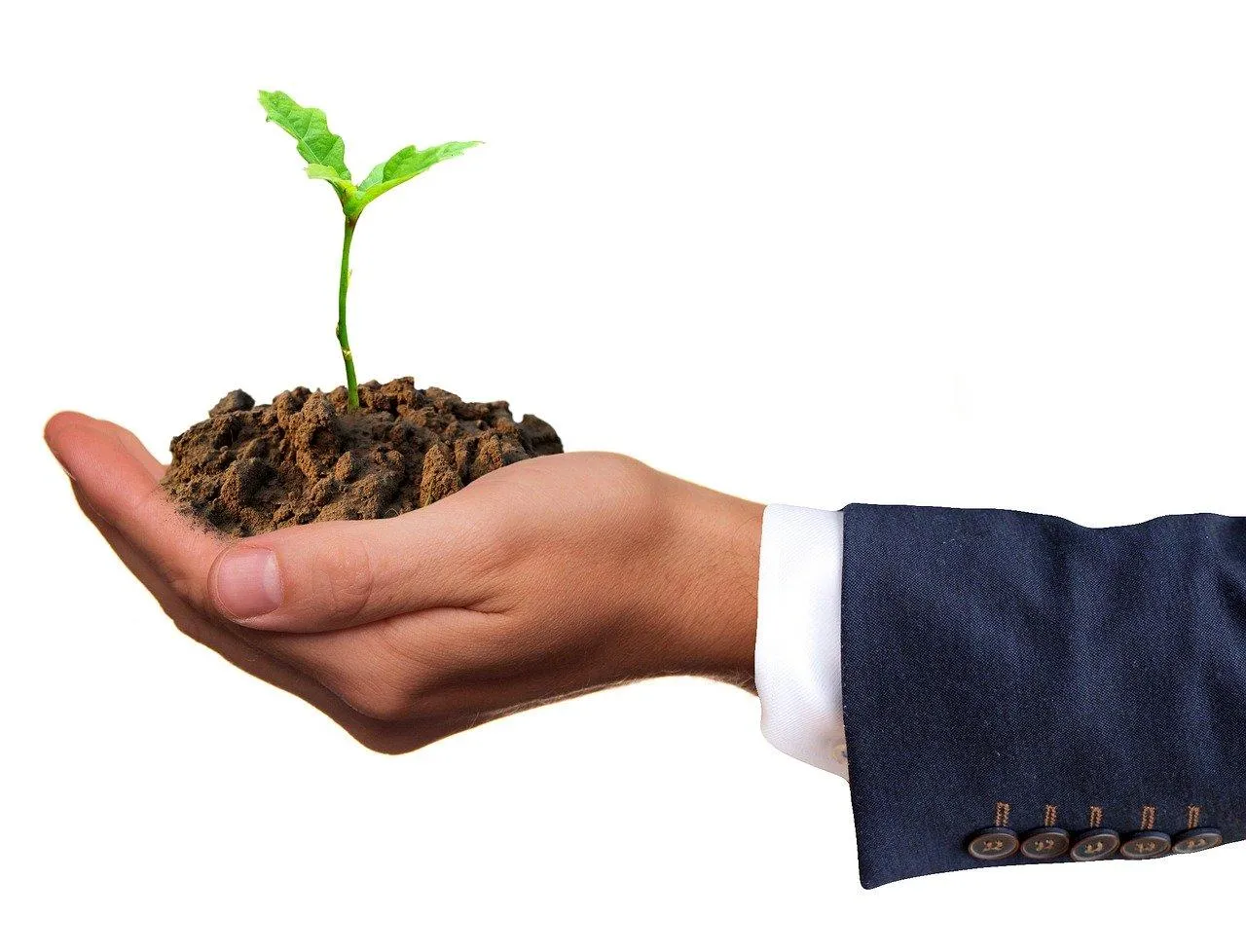 Quel intérêt pour une entreprise de s’engager dans l’écologie ?